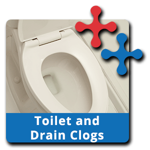 Toilet and Drain Clogs