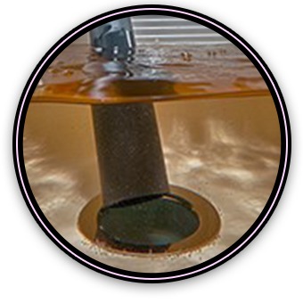 Wet Dry Vacuum kitchen sink
